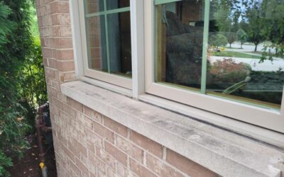 Window Sash Replacement